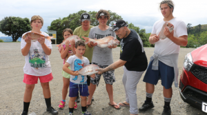 coromandel-community-magic-1